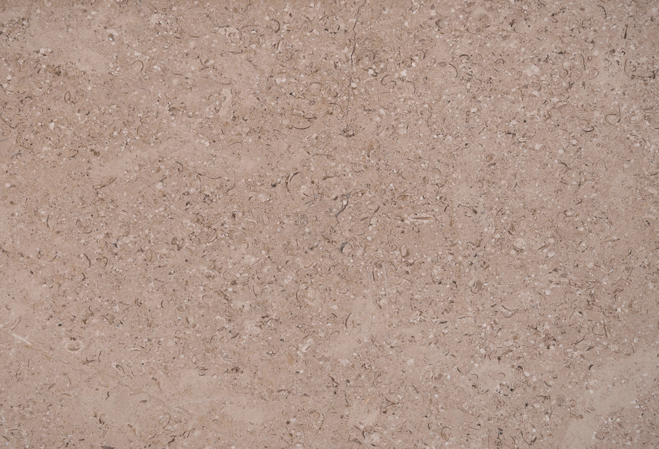 Triesta Beige Egyptian sandy beige marble texture