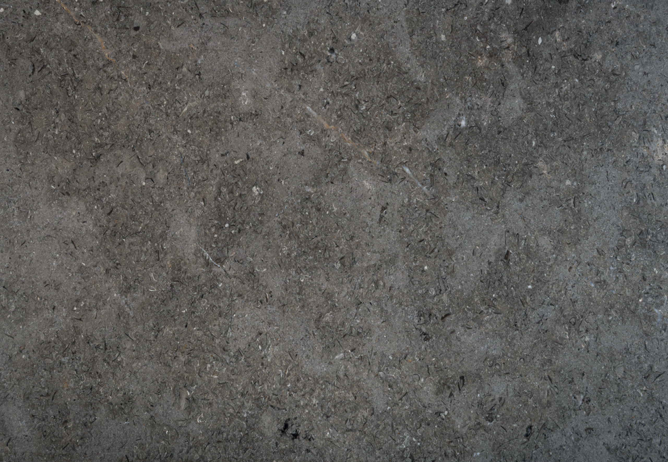 Triesta Grey Egyptian natural grey marble texture