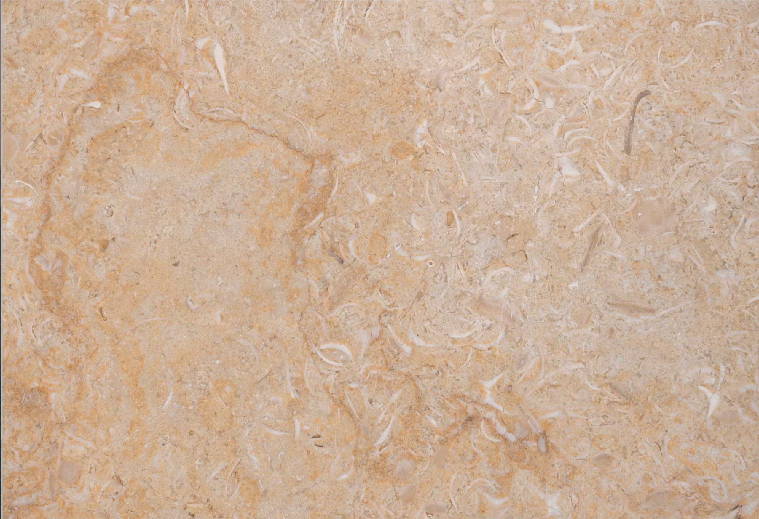 Fantazia Sunny Egyptian golden beige marble texture