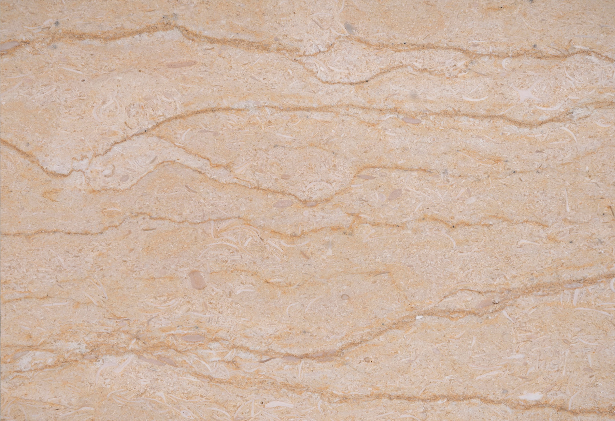 Fantazia Sylvia Egyptian warm beige marble texture