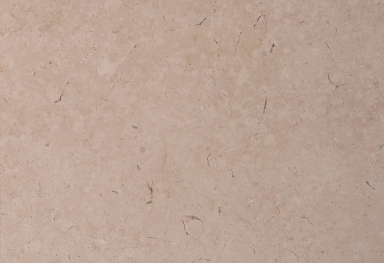 Close-up of Galala marble surface texture and fossil detail