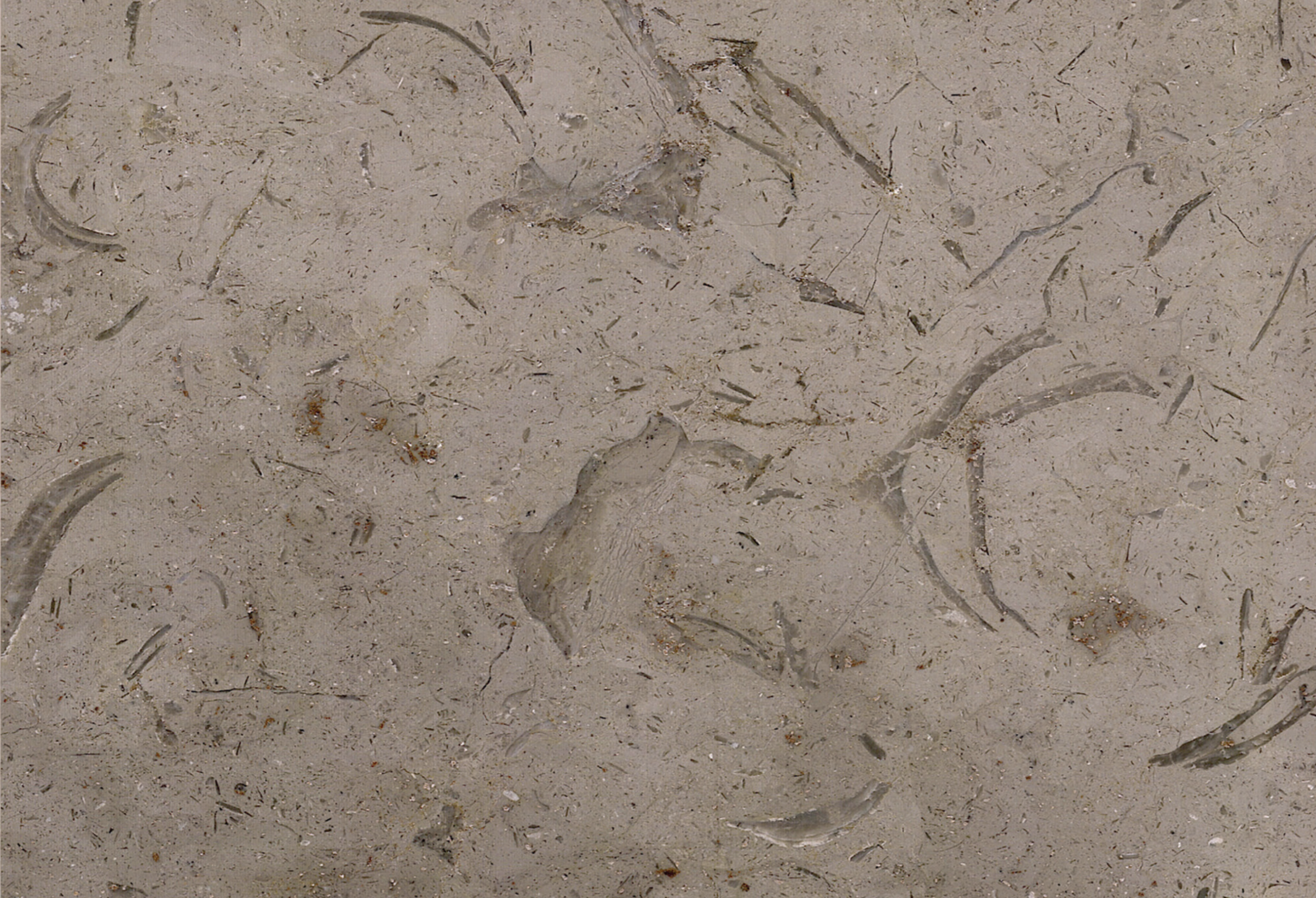 Katrina Egyptian natural marble texture