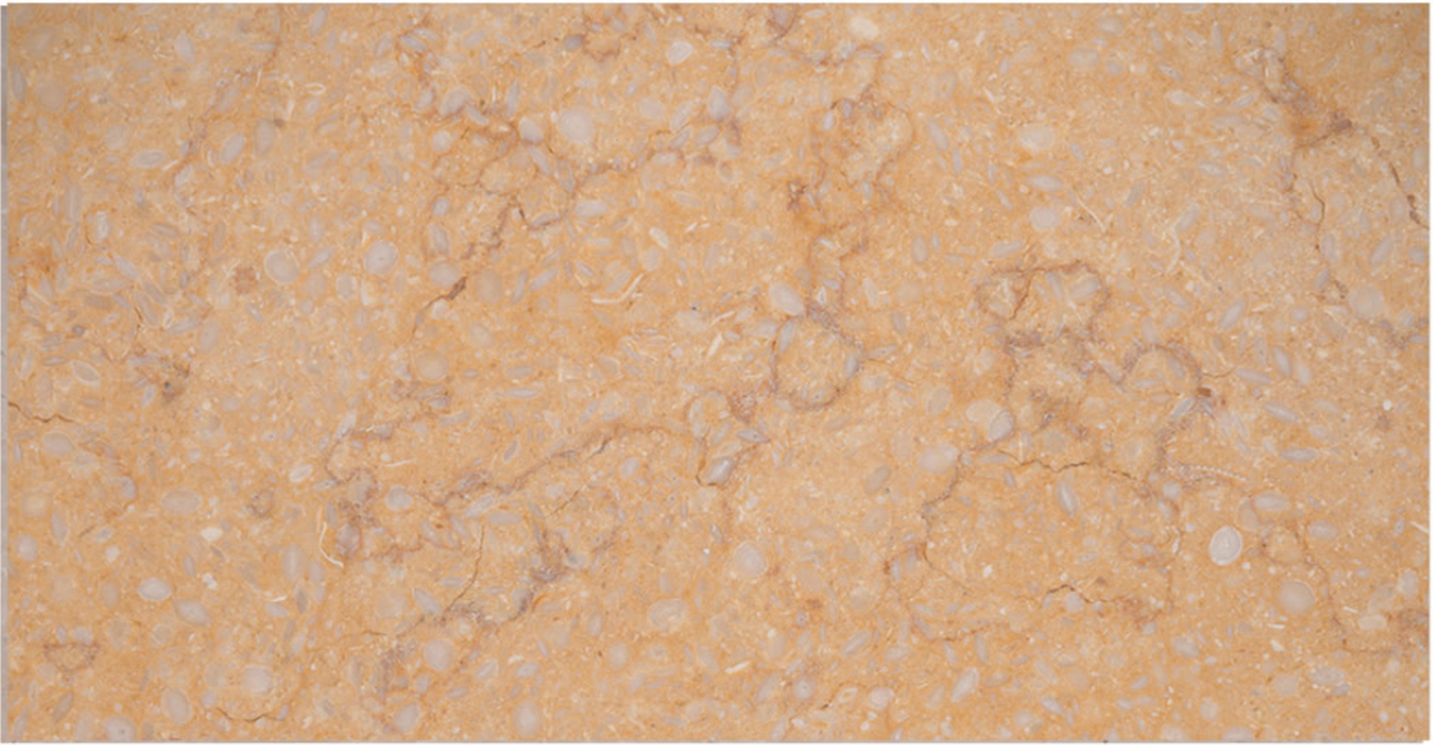 Sunny Dark polished marble finish