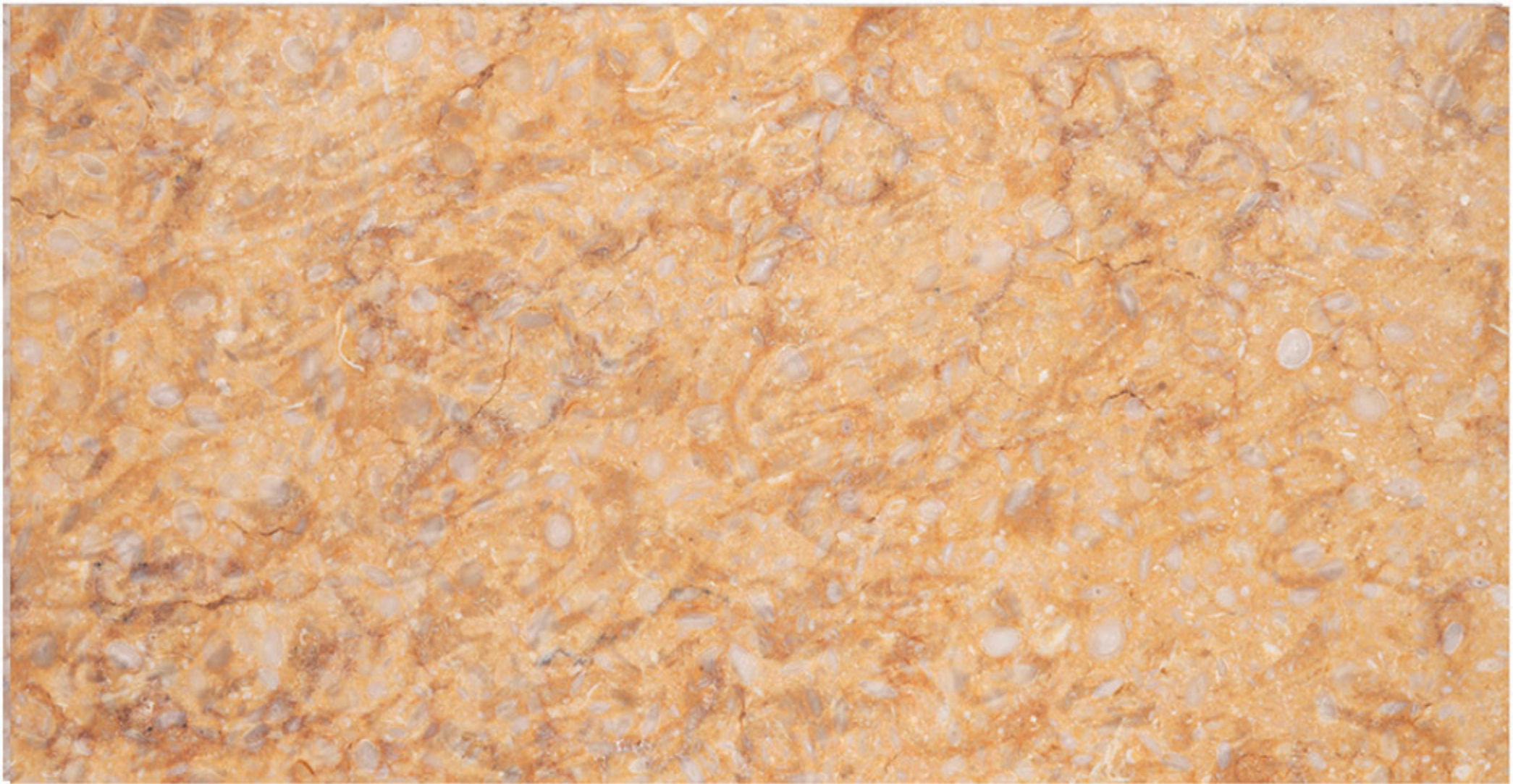Sunny Dark leather marble finish