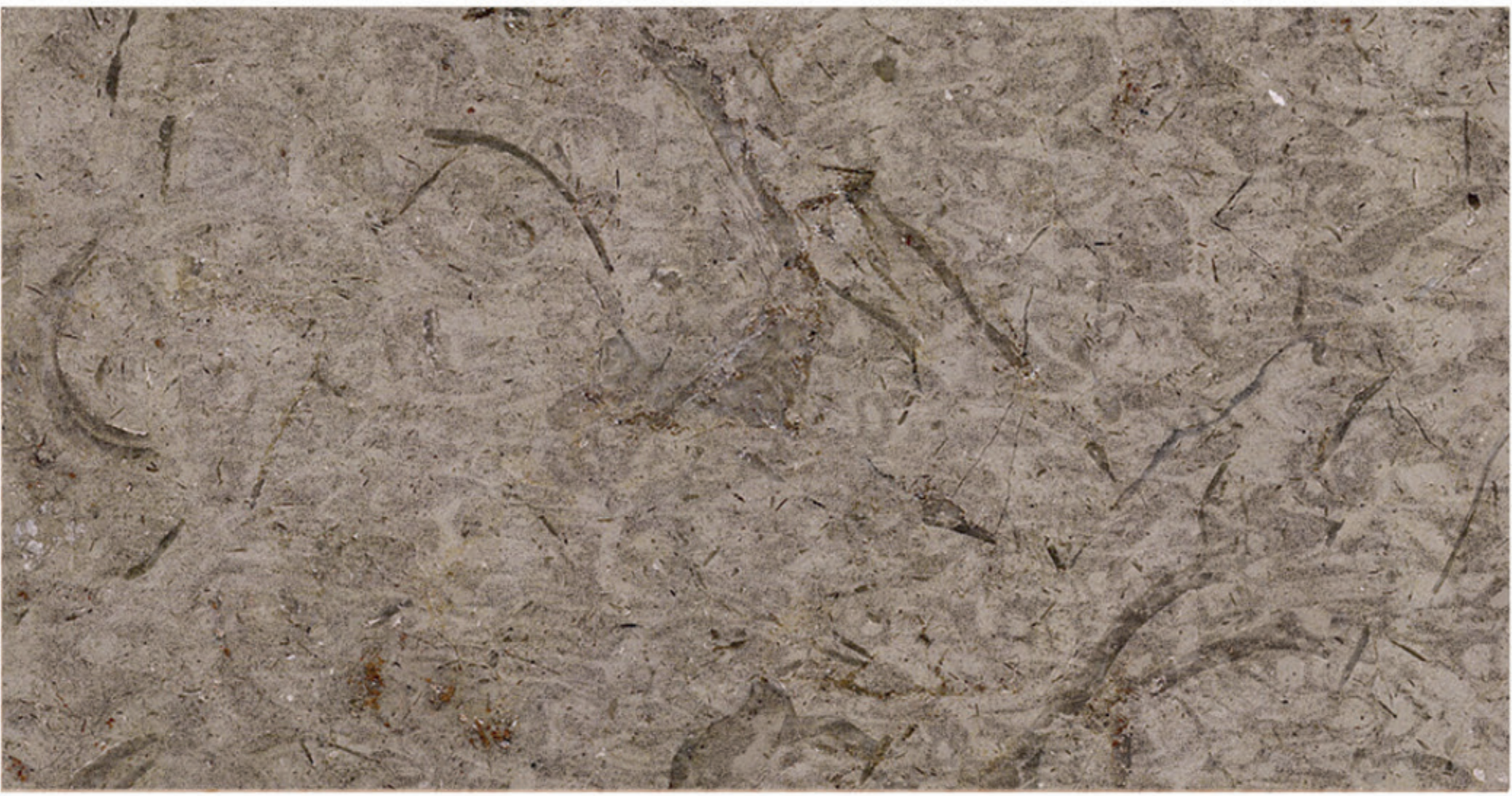 Katrina Brushed marble finish sample
