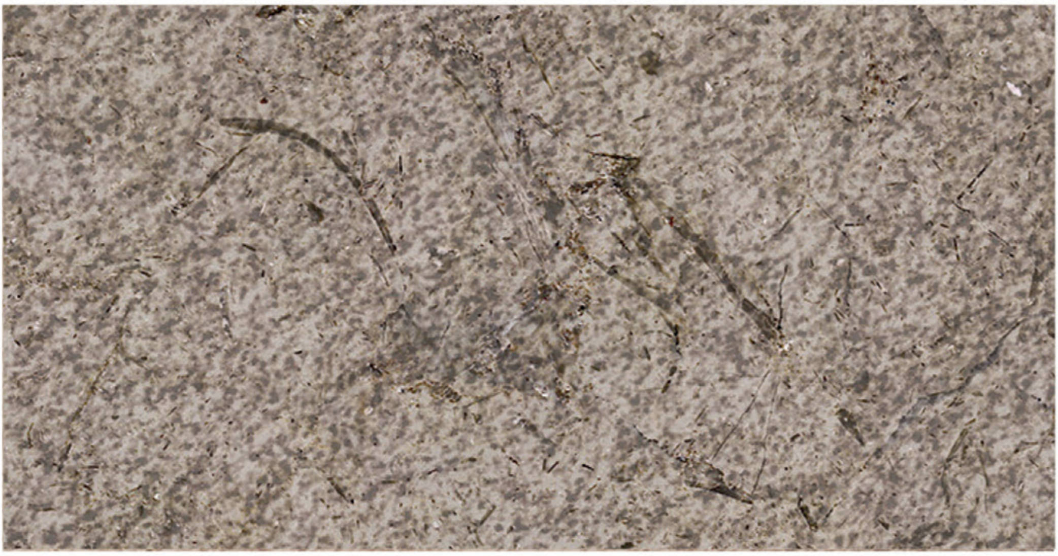 Katrina Sandblasted marble finish sample