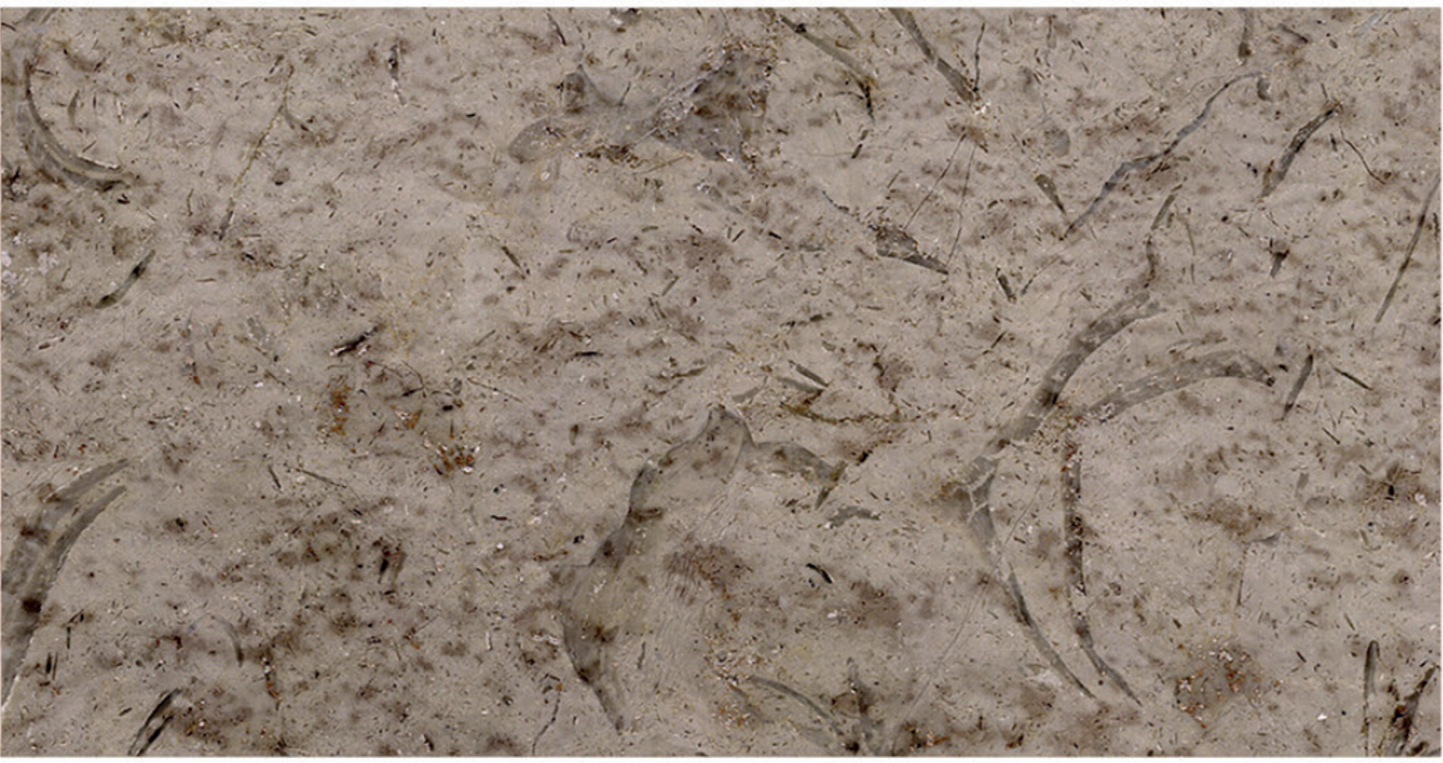 Katrina Bush-Hammered marble finish sample