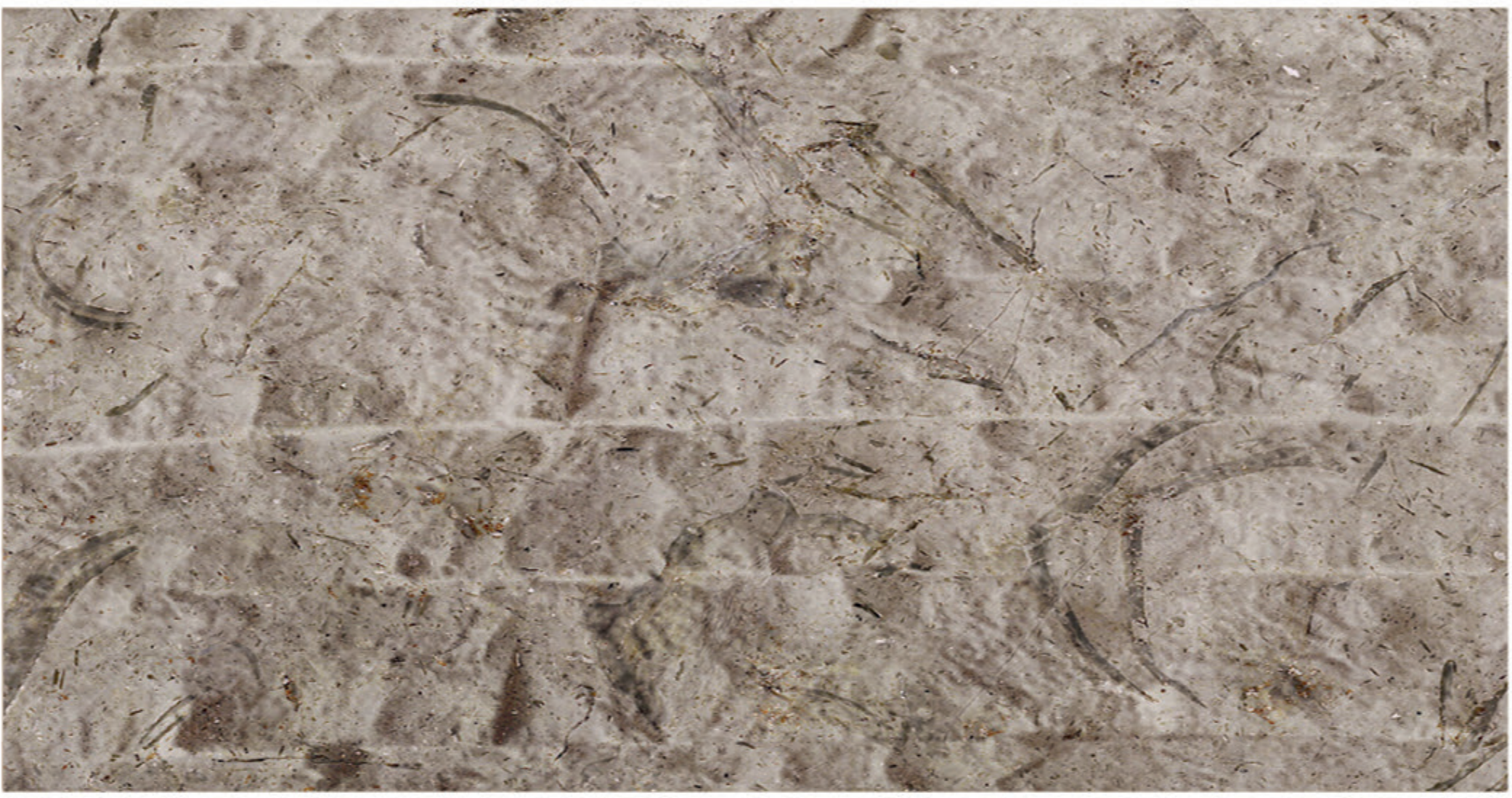 Katrina Split Face marble finish sample