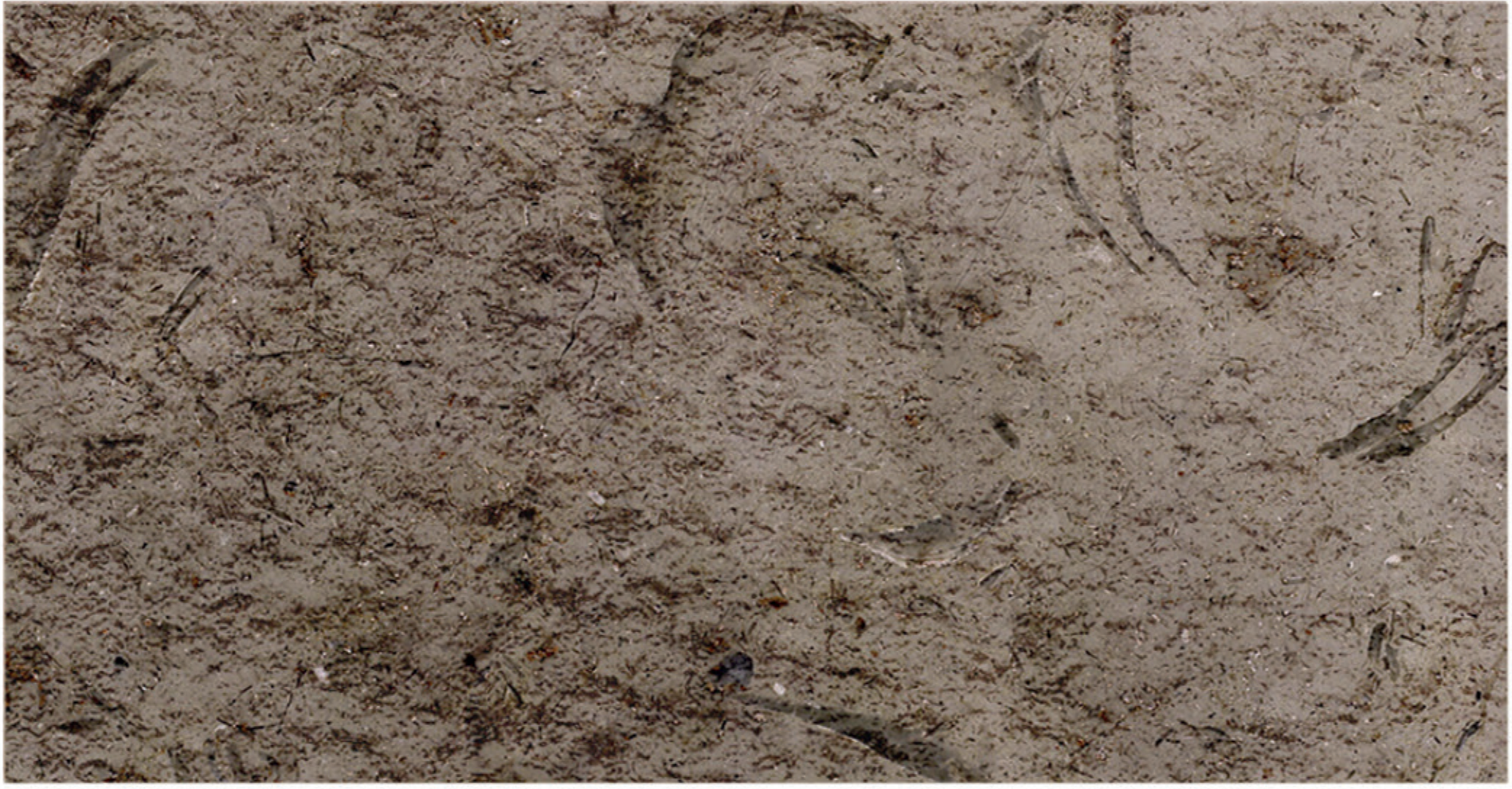 Katrina Antique / Acid marble finish sample
