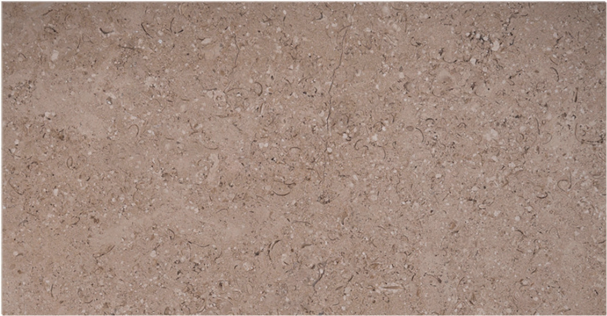 Triesta Beige honed marble finish