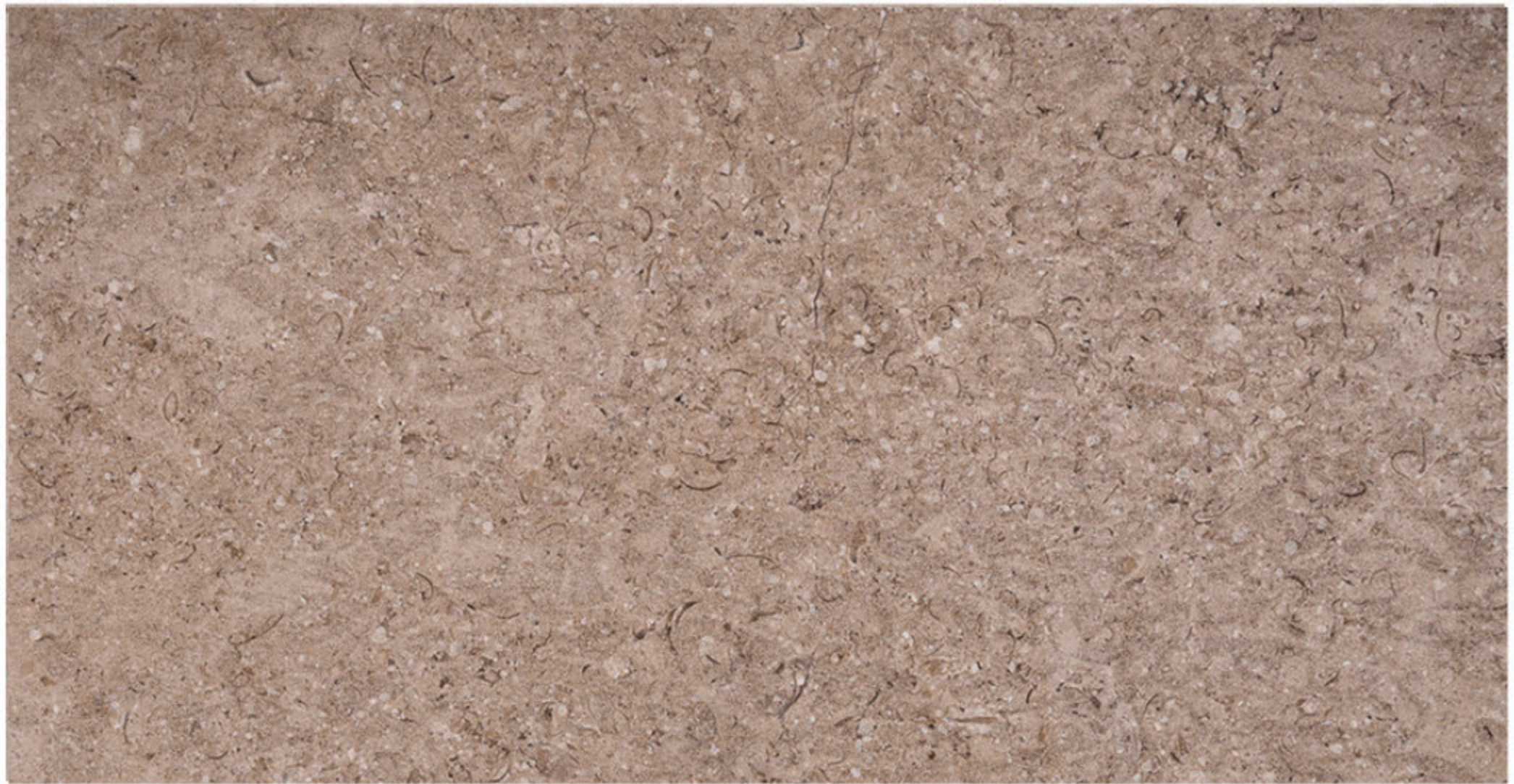 Triesta Beige brushed marble finish