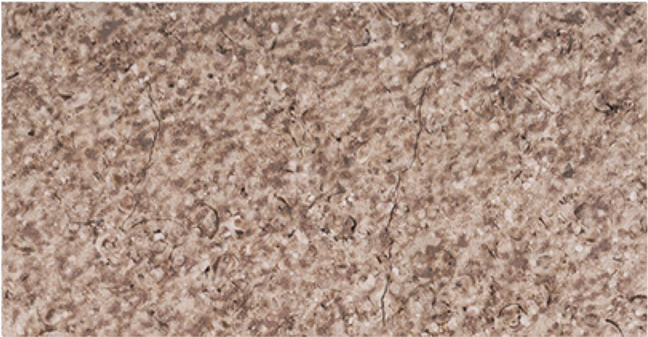 Triesta Beige sandblasted marble finish