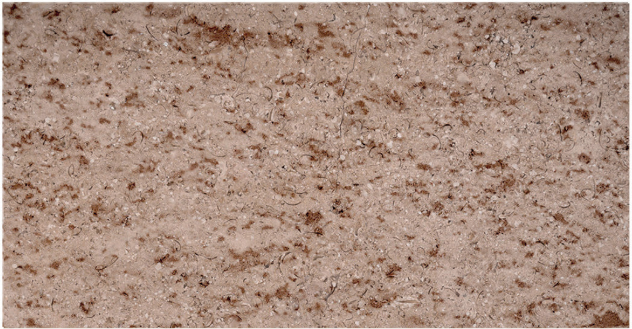 Triesta Beige bush-hammered marble finish
