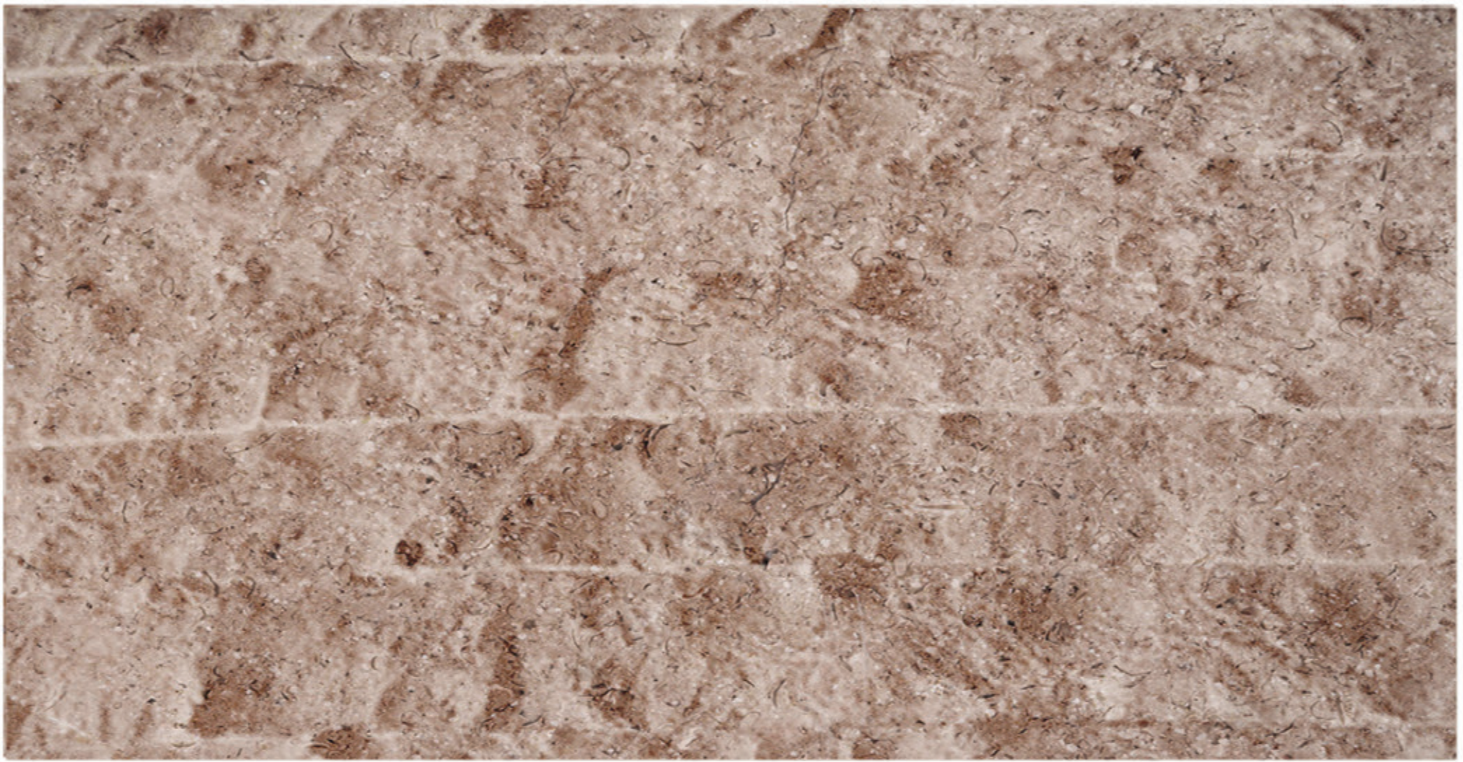 Triesta Beige split face marble finish