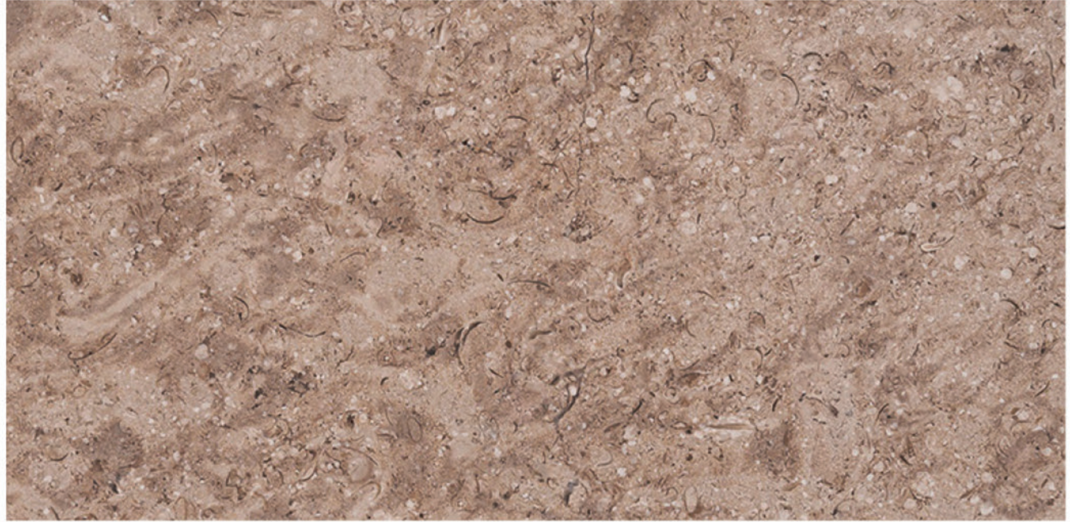 Triesta Beige leather marble finish