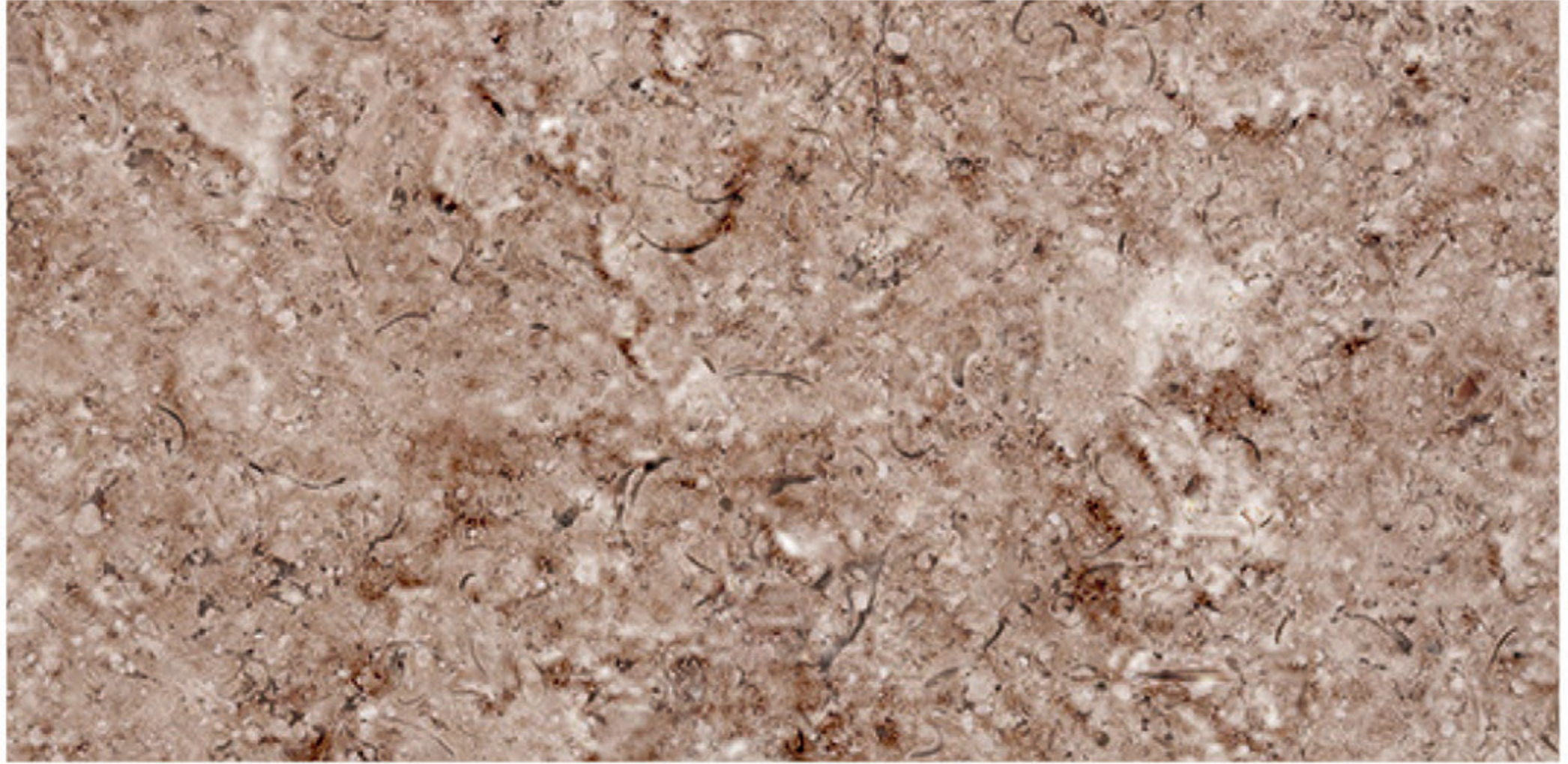 Triesta Beige flamed marble finish