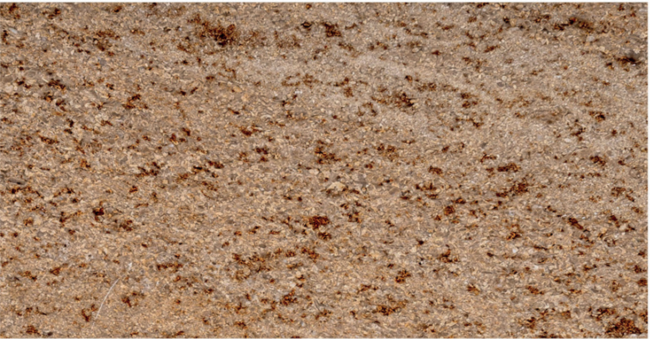Imperial bush-hammered marble finish