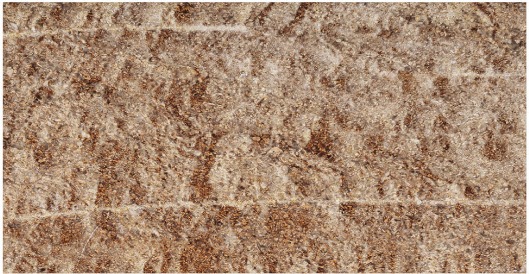 Imperial split face marble finish