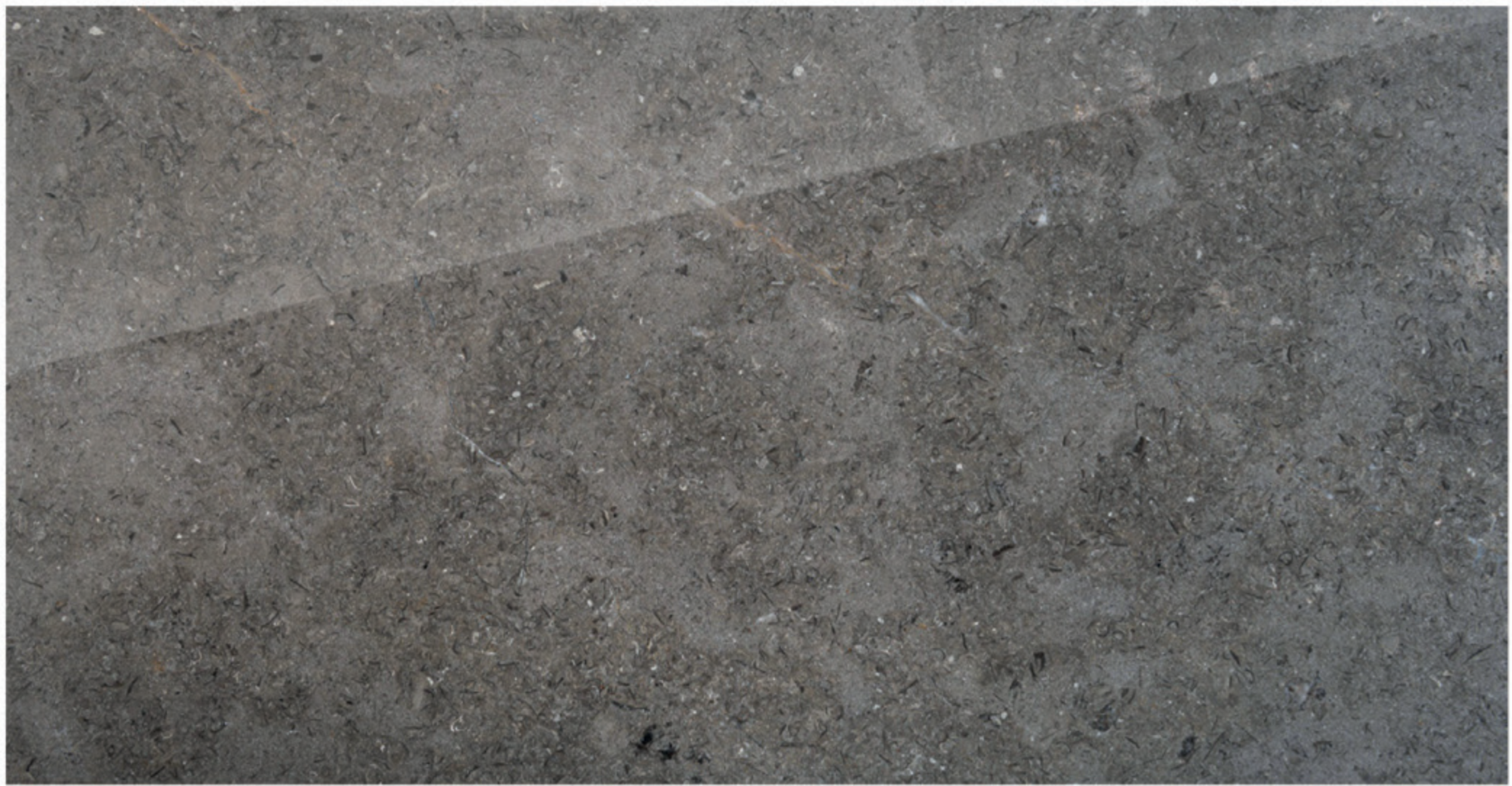 Triesta Grey polished marble finish