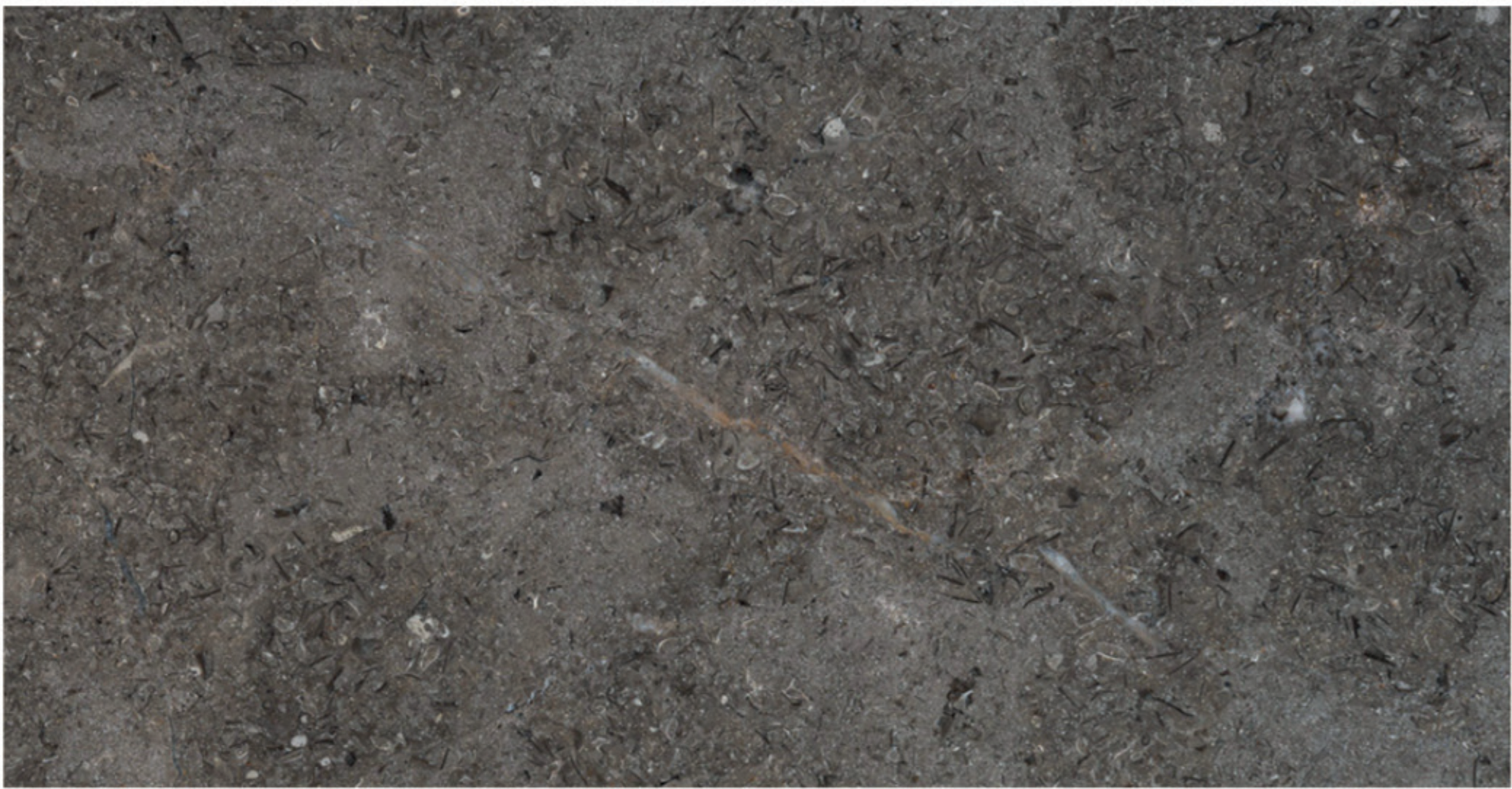 Triesta Grey honed marble finish