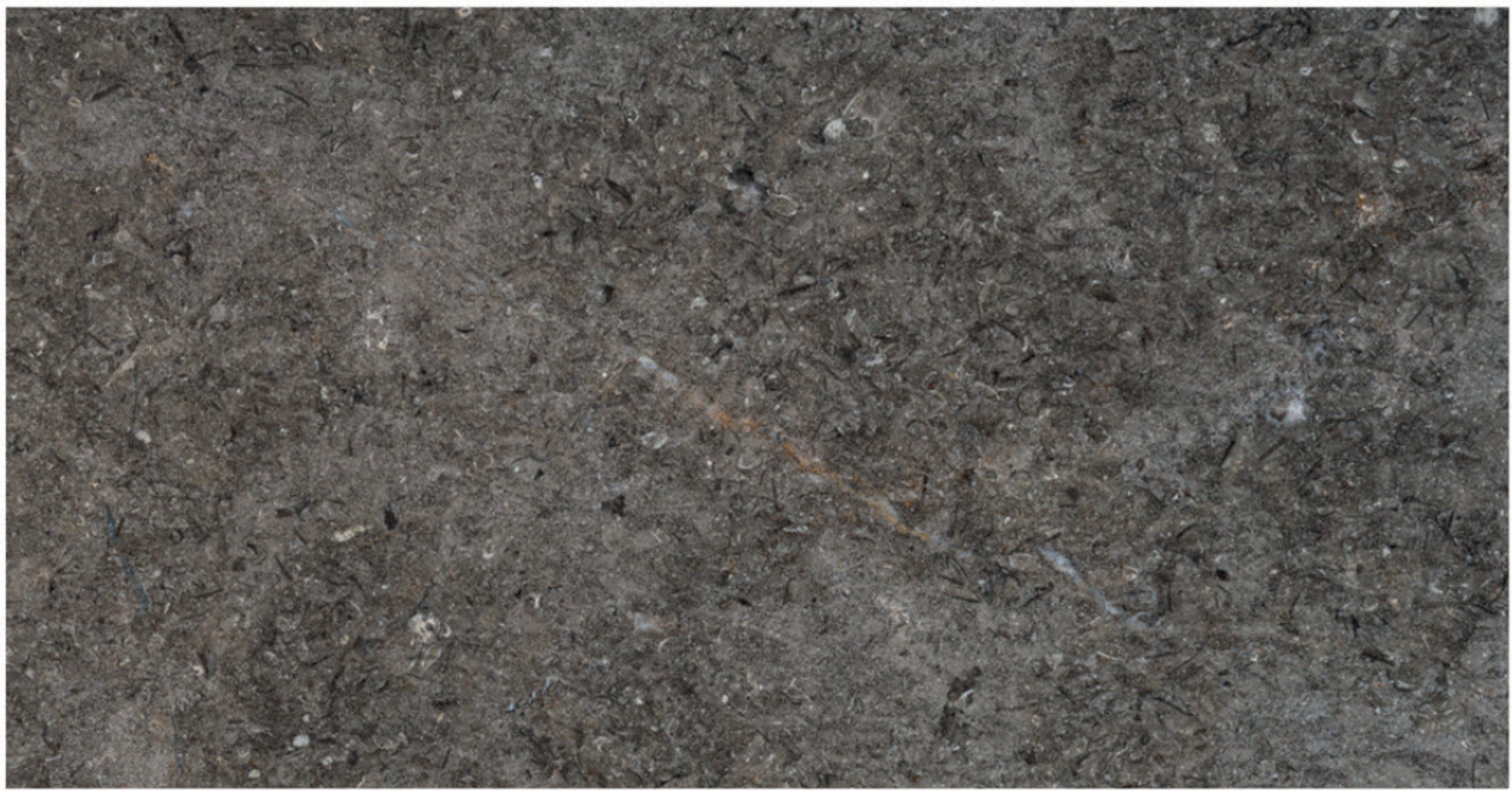 Triesta Grey brushed marble finish