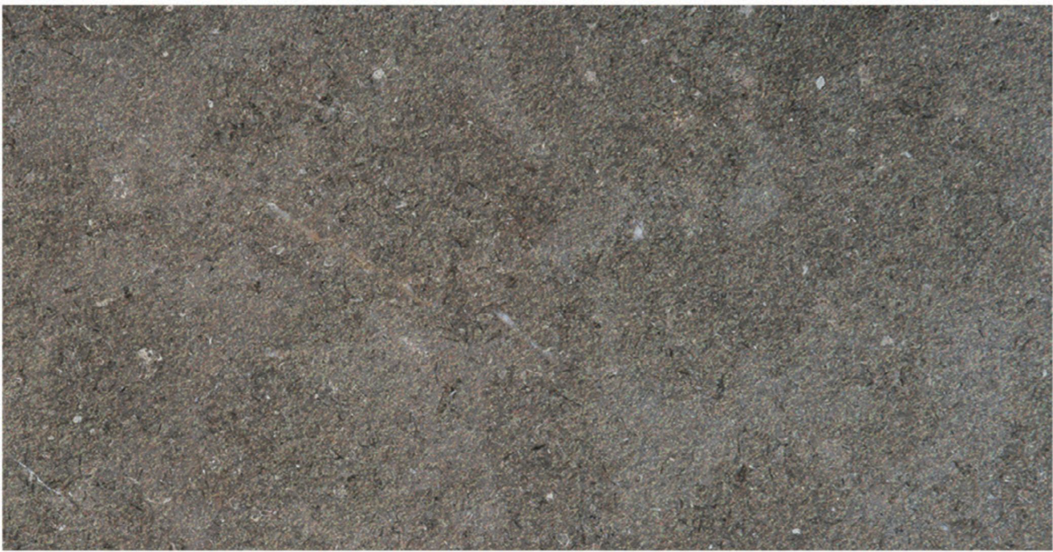 Triesta Grey sandblasted marble finish