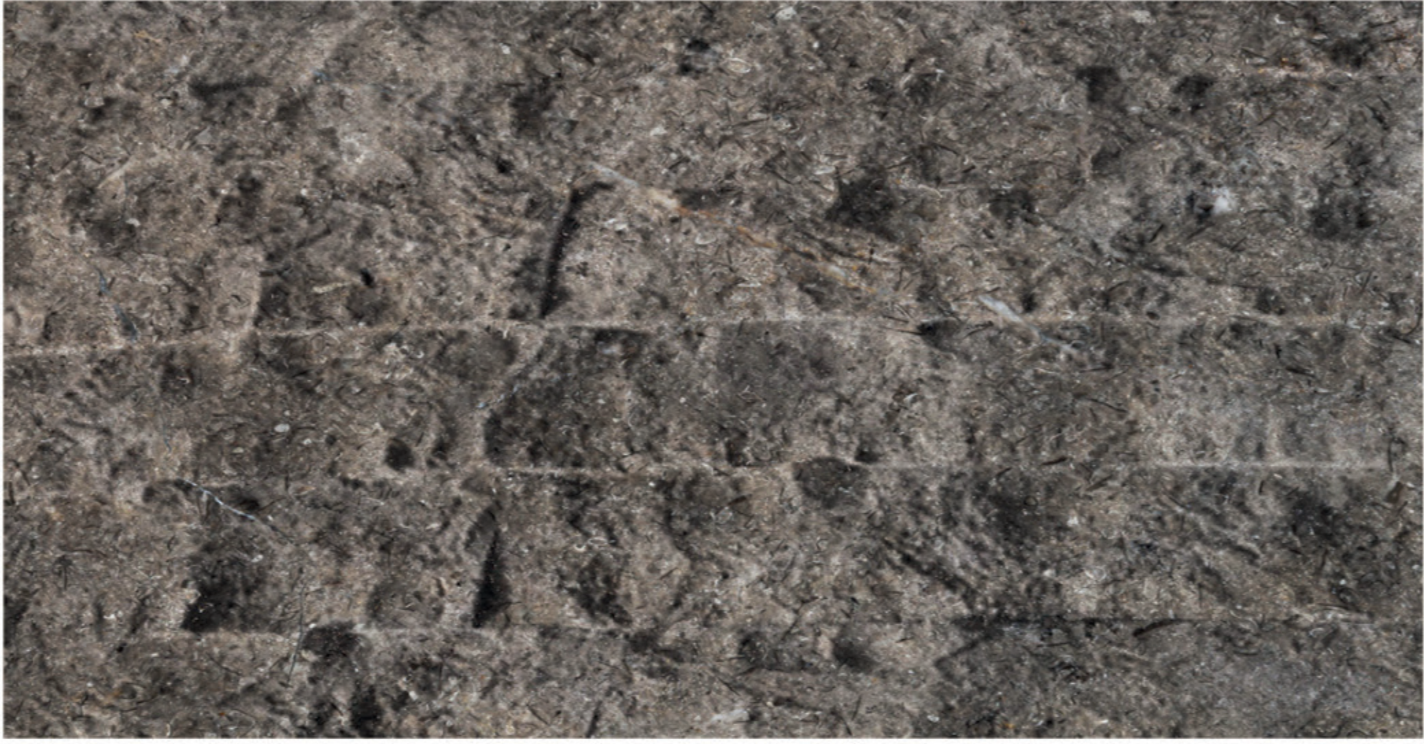 Triesta Grey split face marble finish