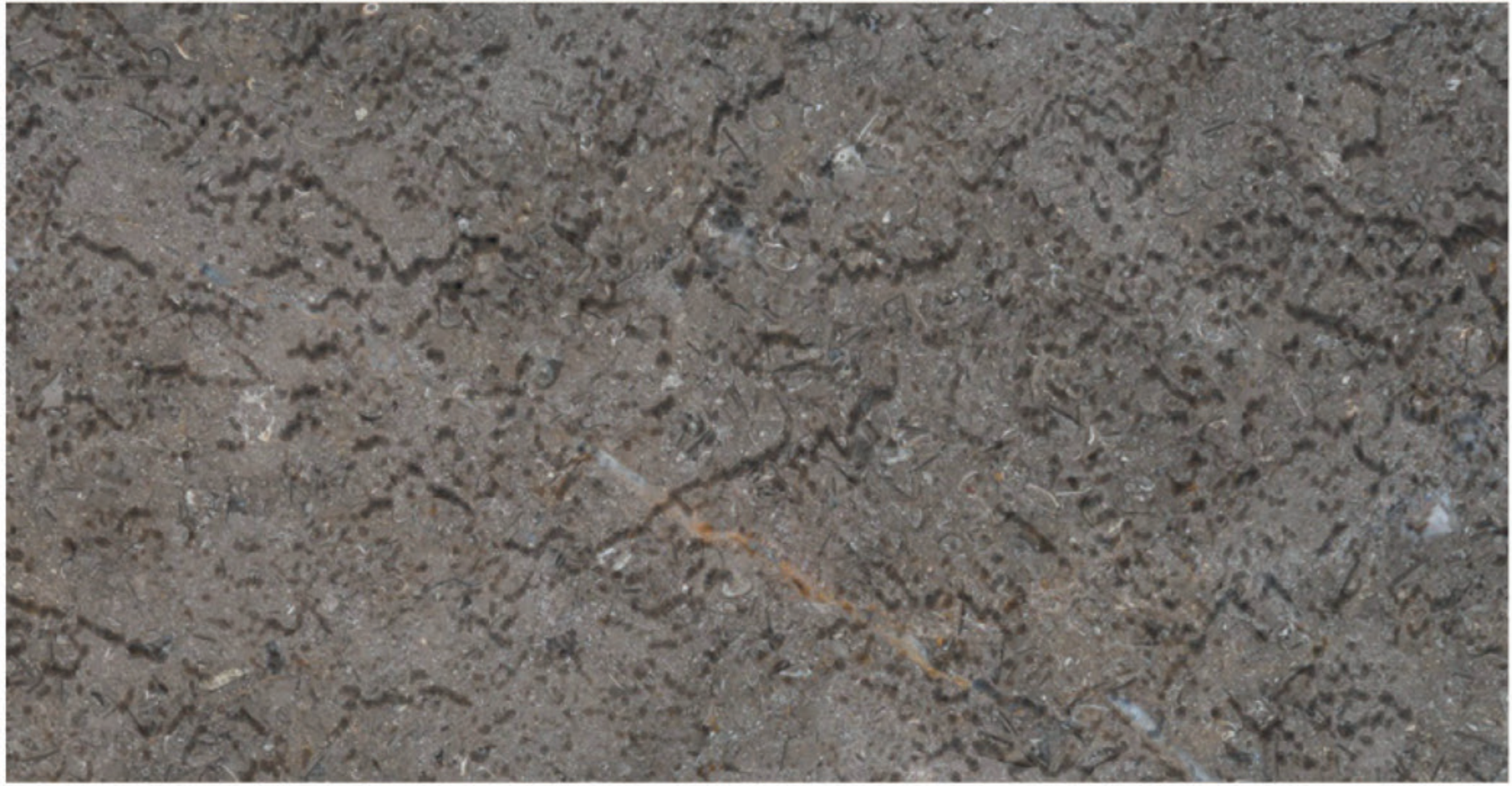 Triesta Grey rough marble finish