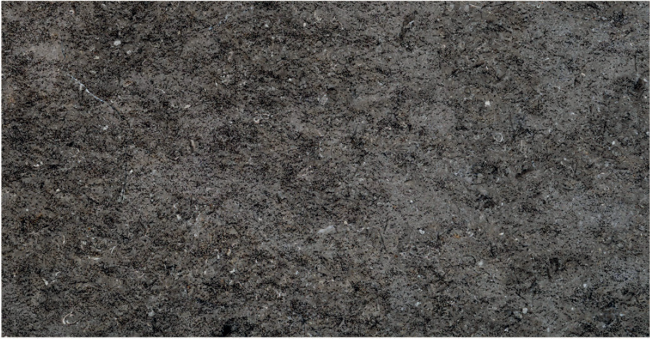 Triesta Grey antique acid marble finish