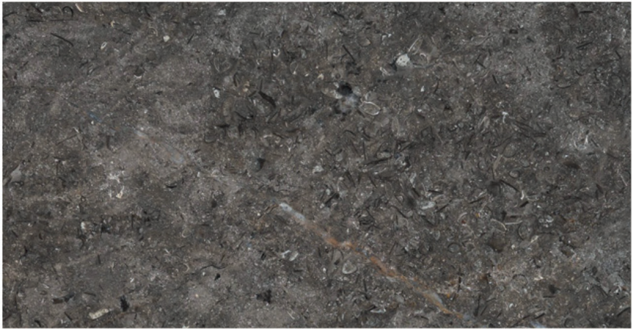 Triesta Grey leather marble finish