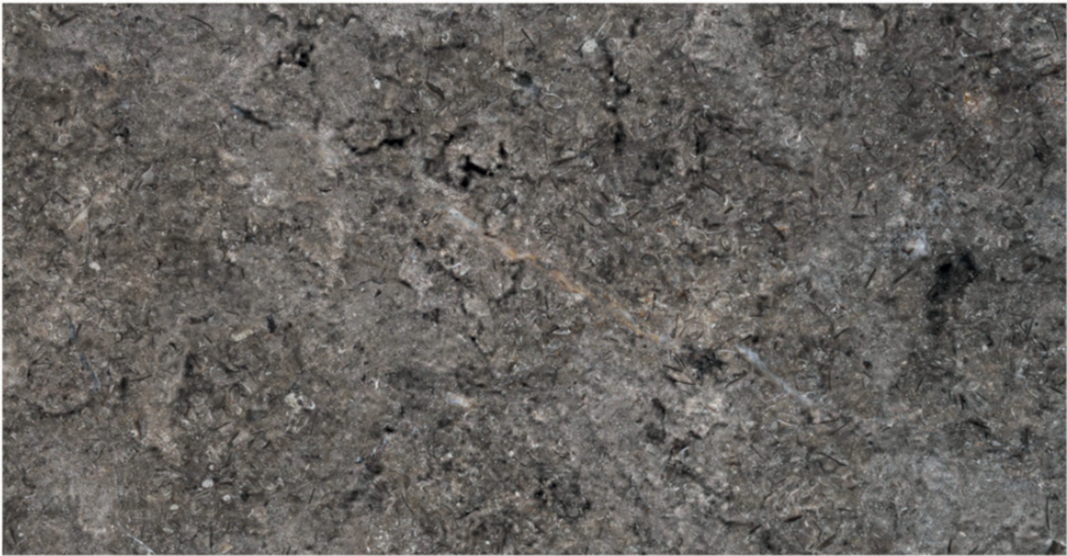 Triesta Grey flamed marble finish