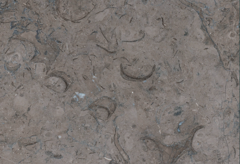 Light Nilo Grey Egyptian natural marble texture