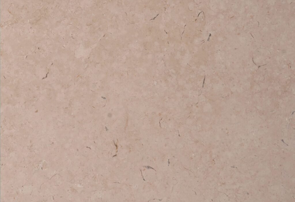 Polished Galala Egyptian beige marble surface with natural fossil detail
