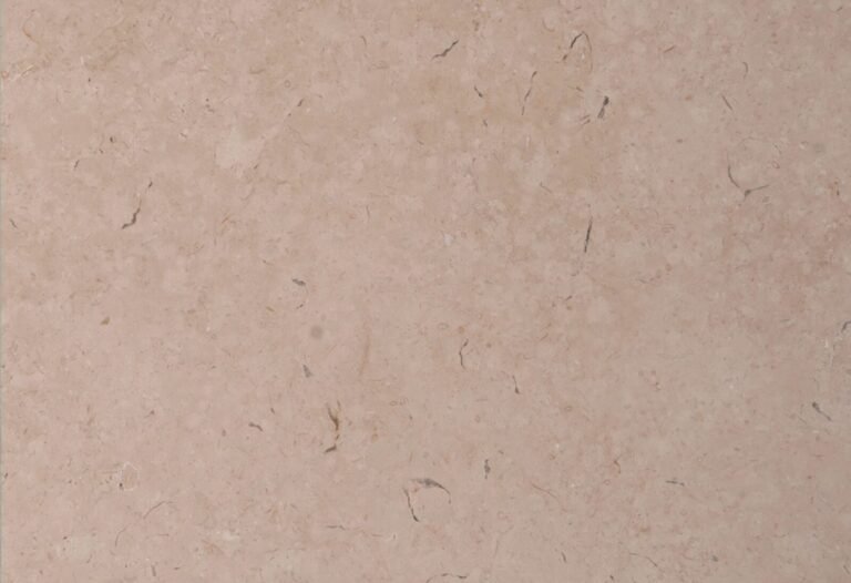 Polished Galala Egyptian beige marble surface with natural fossil detail