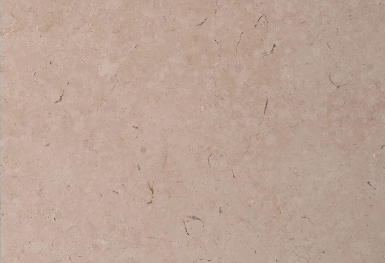 Polished Galala Egyptian beige marble surface with natural fossil detail