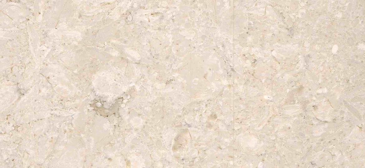 Samaha marble surface with natural fossil pattern